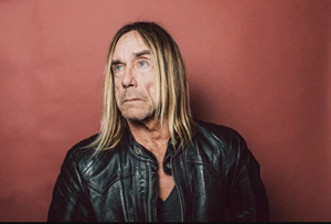 Hire Iggy Pop to work your event