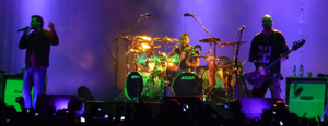 Hire System Of A Down for an event.