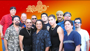 Hire Malo for an event.