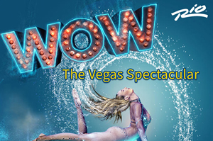 Hire WOW-The Vegas Spectacular to work your event