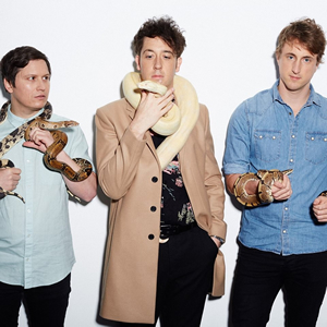 Hire The Wombats for an event.